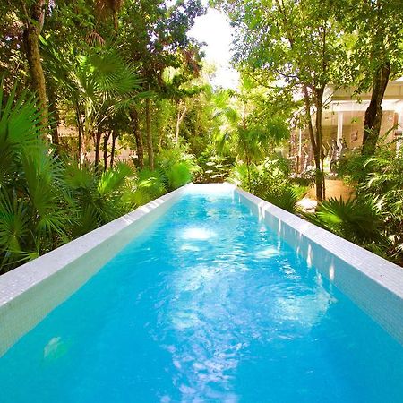 Tao Luxury Condo Mexico アクマル エクステリア 写真