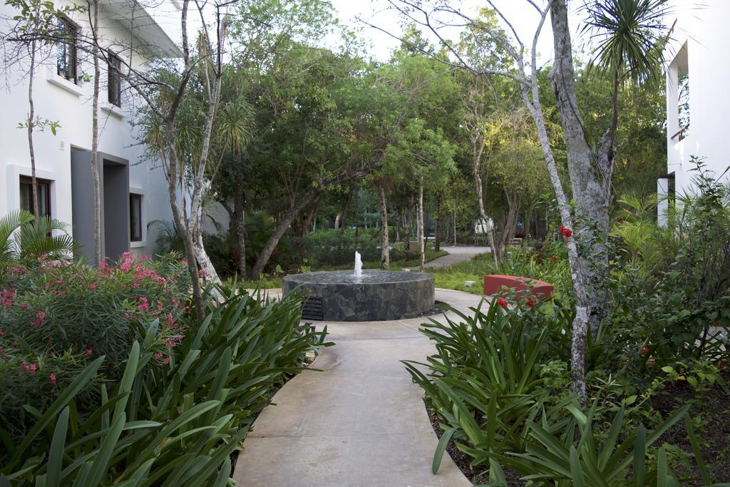 Tao Luxury Condo Mexico アクマル エクステリア 写真